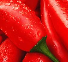 Tesco kápia paprika egyenesen a magyar termelőktől