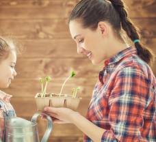 Az áprilisi kert: Vesse el a zöldséget, ültessen virágot