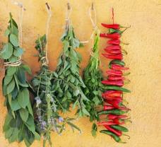 Friss vagy szárított? Fűszerkisokos haladóknak  