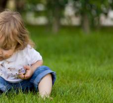 A baba immunitásának erősítése