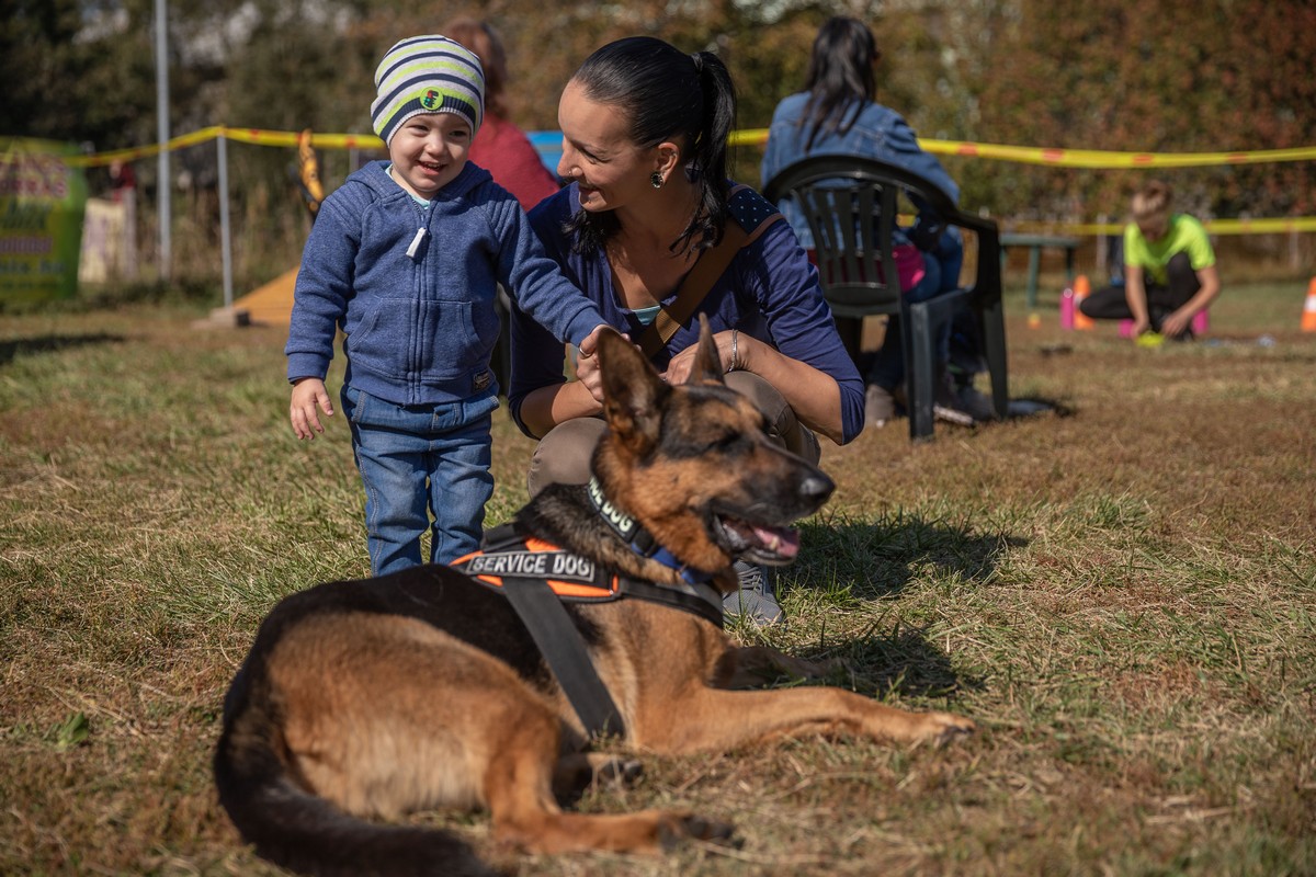 8. fordul&oacute; - "&Ouml;n v&aacute;laszt, mi seg&iacute;t&uuml;nk" program