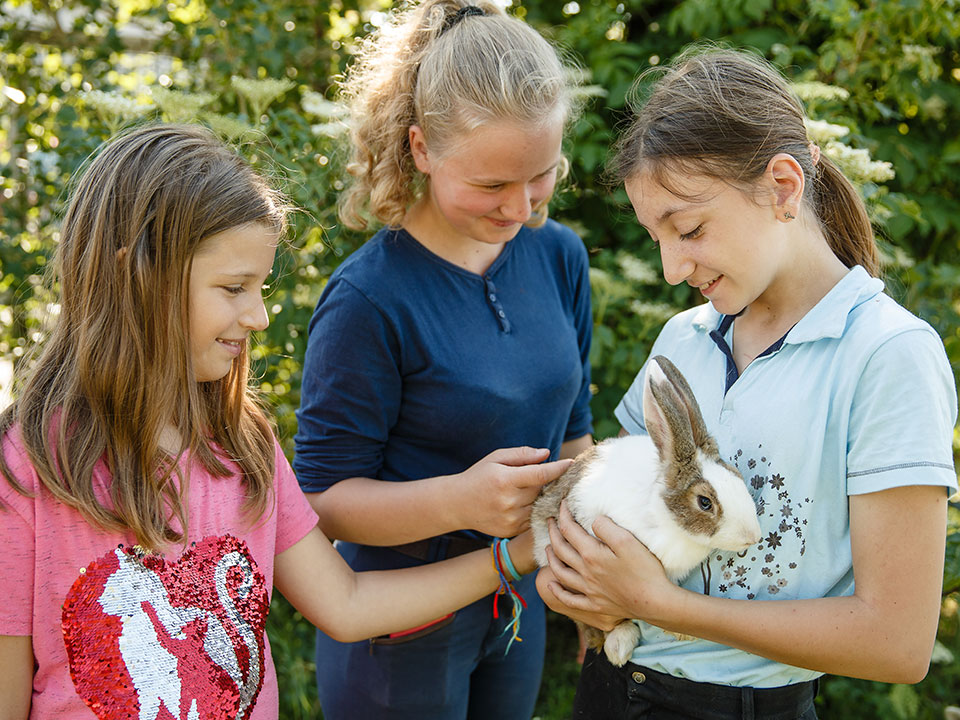4. fordul&oacute; - "&Ouml;n v&aacute;laszt, mi seg&iacute;t&uuml;nk" program