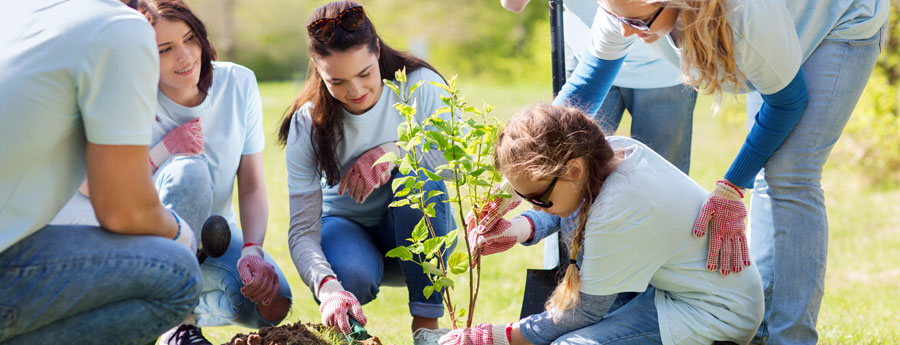 1. fordul&oacute; - "&Ouml;n v&aacute;laszt, mi seg&iacute;t&uuml;nk" program